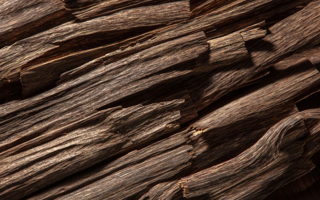 Kỳ nam là gì? Cách phân biệt trầm hương và kỳ nam? Công dụng của kỳ nam như thế nào?