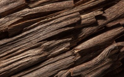 Kỳ nam là gì? Cách phân biệt trầm hương và kỳ nam? Công dụng của kỳ nam như thế nào?