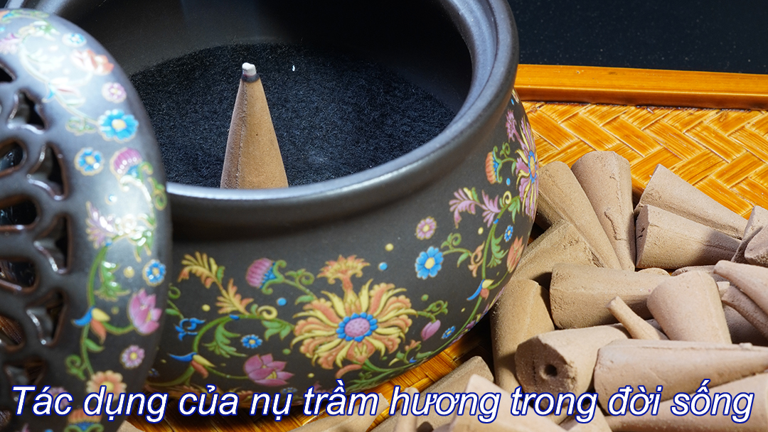 6 Tác Dụng Vàng Của Nụ Trầm Hương: Bạn Đã Khám Phá Hết Chưa?