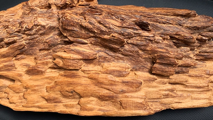 Trầm tốc thật hay giả? Bí kíp phân biệt và đặc điểm nhận biết chuẩn không cần chỉnh