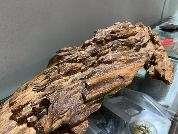 Giá trầm hương – Phân loại, đặc điểm và bảng giá thị trường