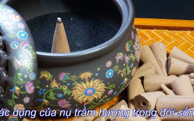 Tác dụng nụ trầm hương giúp cải thiện sức khỏe và tinh thần