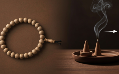 Kỳ Nam: Chuyên gia hé lộ bản chất, giá trị & cách nhận biết chuẩn 2026