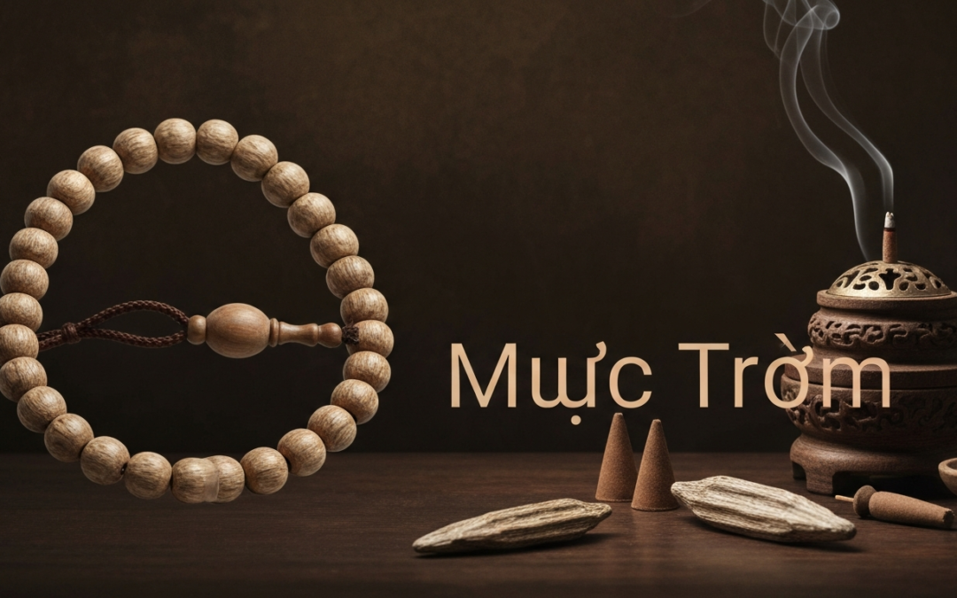 Trầm chìm nước là gì? Bí quyết phân biệt và định giá chuẩn từ chuyên gia Mộc Trầm