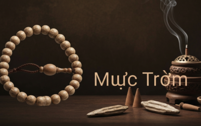 Trầm chìm nước là gì? Bí quyết phân biệt và định giá chuẩn từ chuyên gia Mộc Trầm